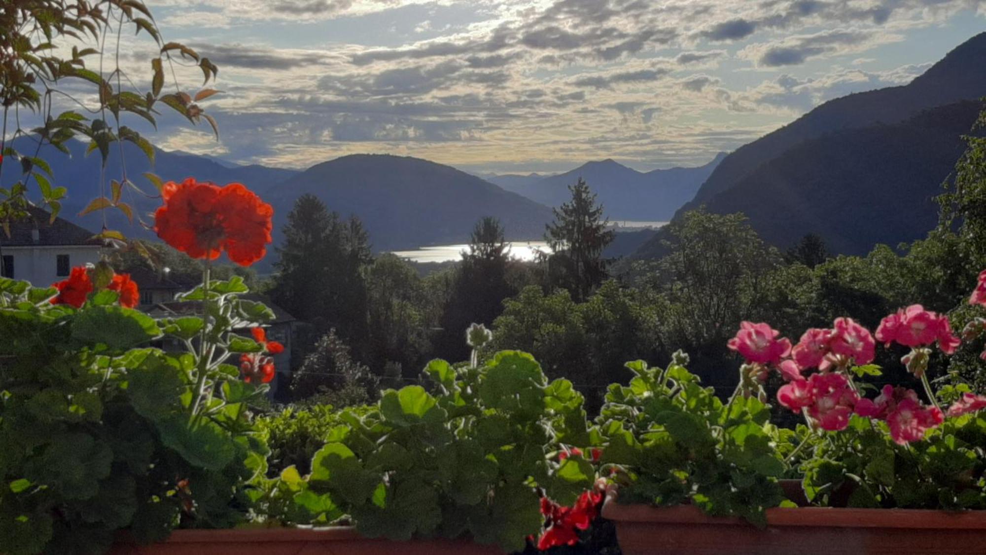 B&B Al Mutpron Casale Corte Cerro Exterior photo
