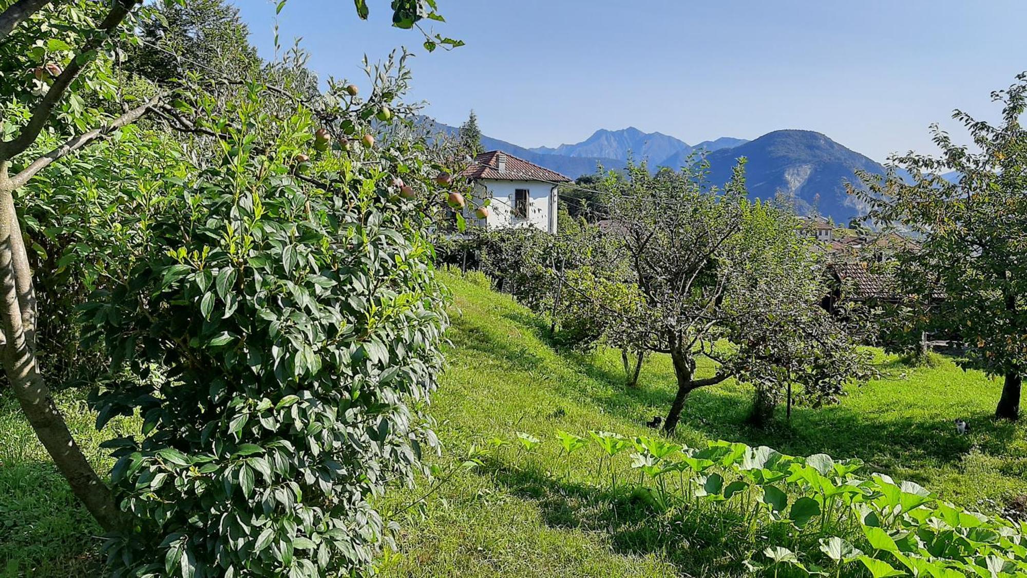 B&B Al Mutpron Casale Corte Cerro Exterior photo