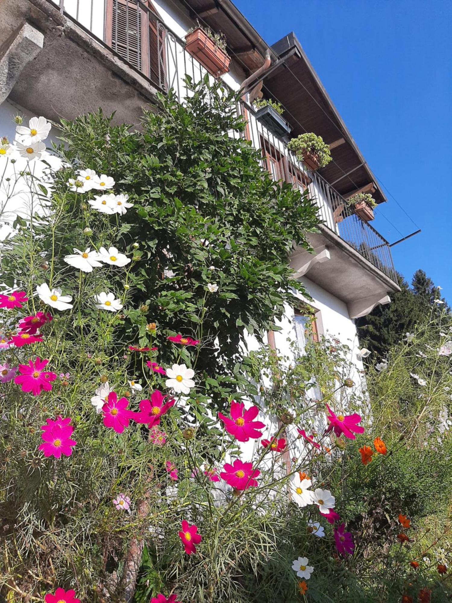 B&B Al Mutpron Casale Corte Cerro Exterior photo