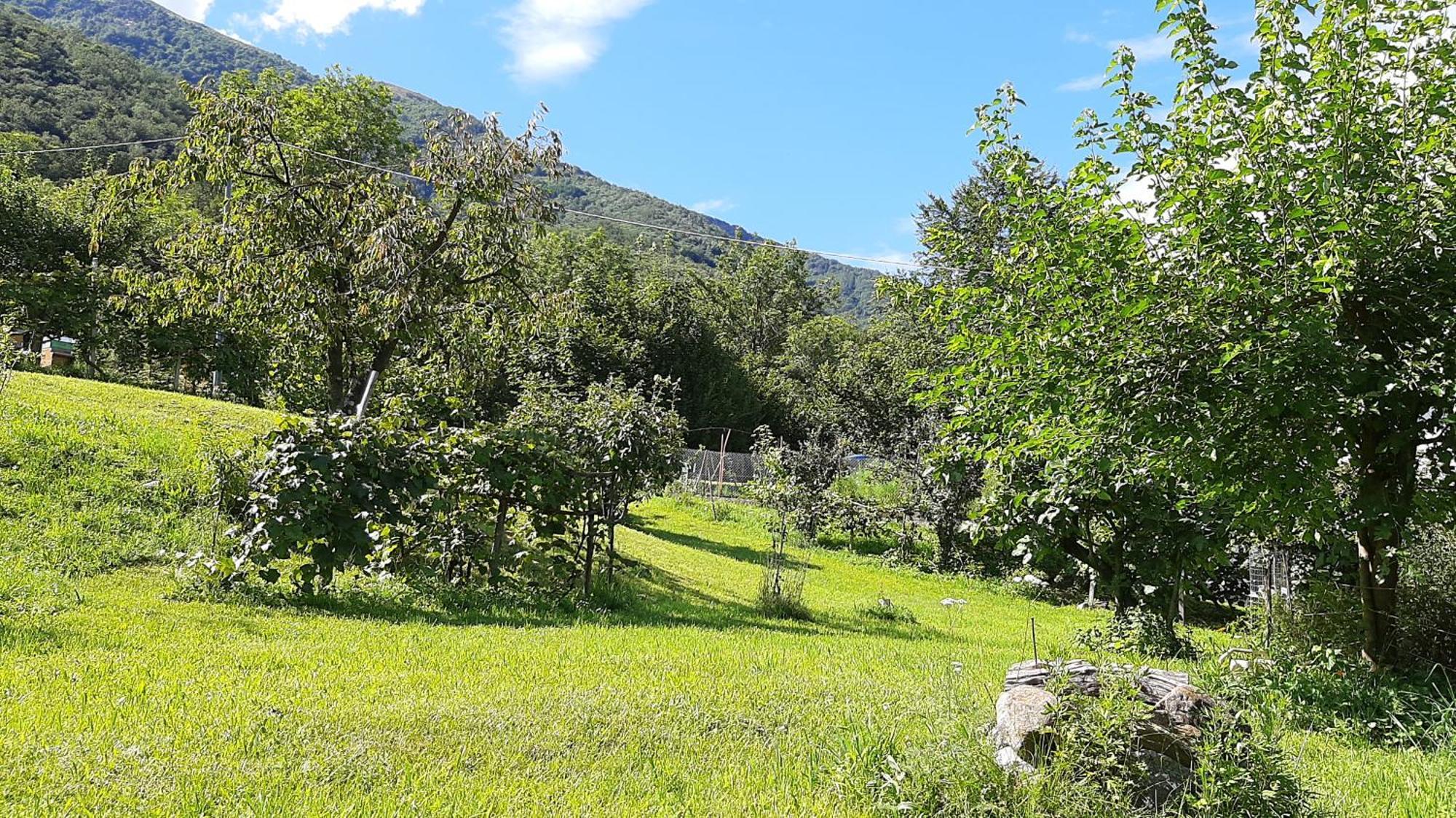 B&B Al Mutpron Casale Corte Cerro Exterior photo