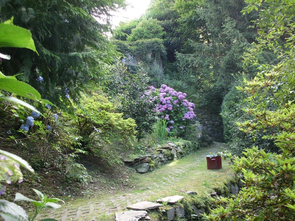 B&B Al Mutpron Casale Corte Cerro Exterior photo