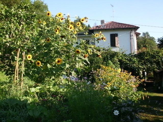 B&B Al Mutpron Casale Corte Cerro Exterior photo